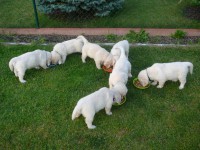 /album/fotogalerie/a7-7-8-7-2011-013-jpg/